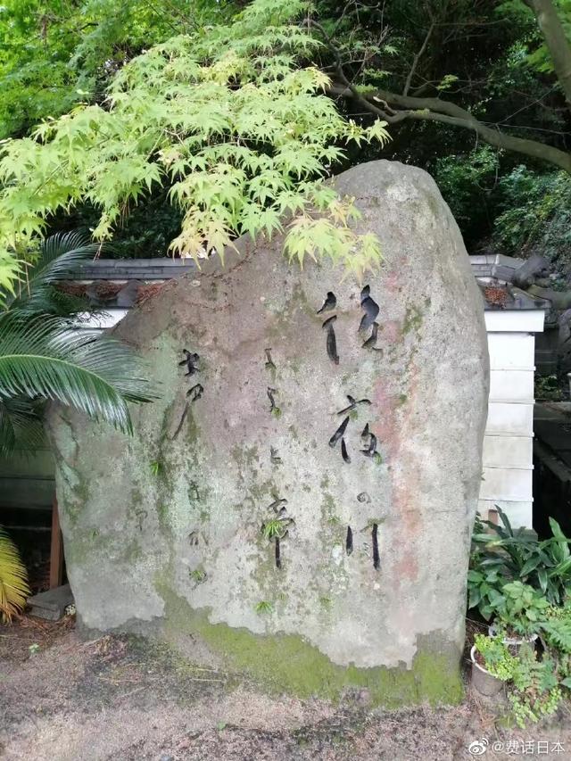 日本历史文化-外国人看不懂的日本“物哀”（“