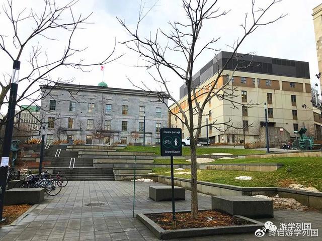 为什么麦吉尔大学在中国没有什么名气 大学迷