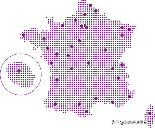 学费低 就业率100% 年均净收入27900欧，公立大学商学院值得选择