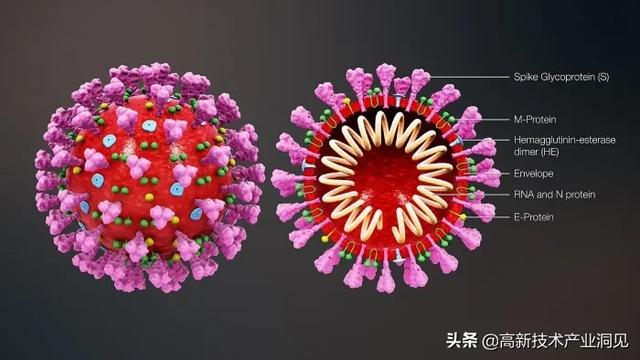中美科技战的上甘岭，我们还欠缺什么？