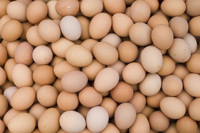 白皮蛋是土鸡下的蛋，营养价值比红皮蛋更高？答案或和你想的不同
