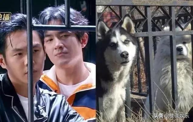 在线自夸？学员撞脸导师霸占热搜，他们竟这么