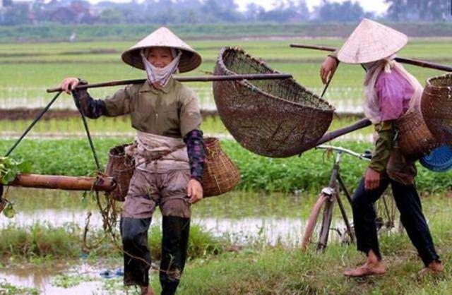 越南气候条件(越南全年气温情况)