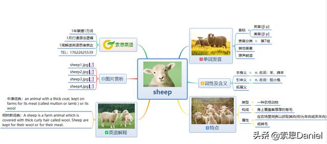sheep是什么意思(sheep是什么意思中文)