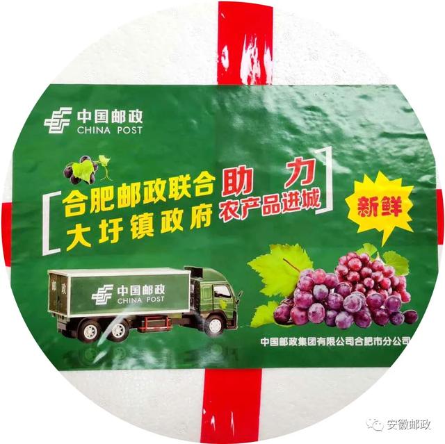 合肥专业融合助力大圩葡萄进城