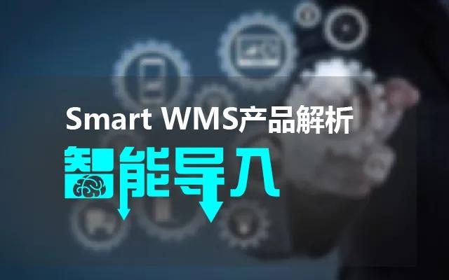 产品解析 | Smart WMS智能导入功能 大量减少工作量