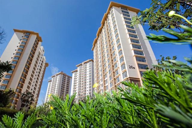 超级详细！市级统建公租房10个项目数量、租金、户型亮点全在这儿