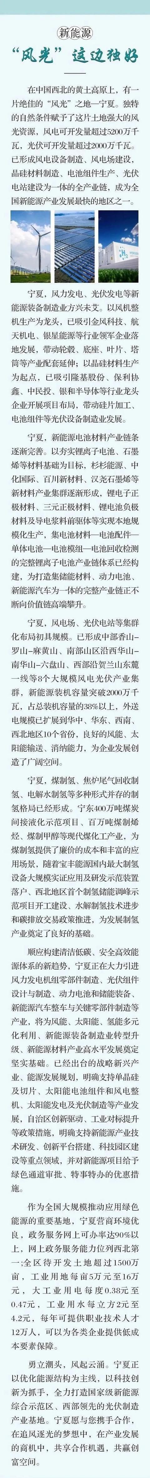 2020年宁夏重点产业招商引资项目册——新能源 生物医药 先进装备制造