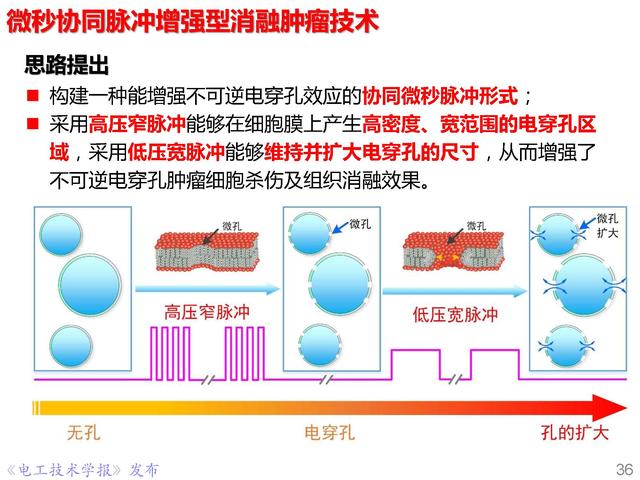 前沿技術(shù)報告｜重慶大學(xué)姚陳果教授：高壓超短脈沖技術(shù)及應(yīng)用