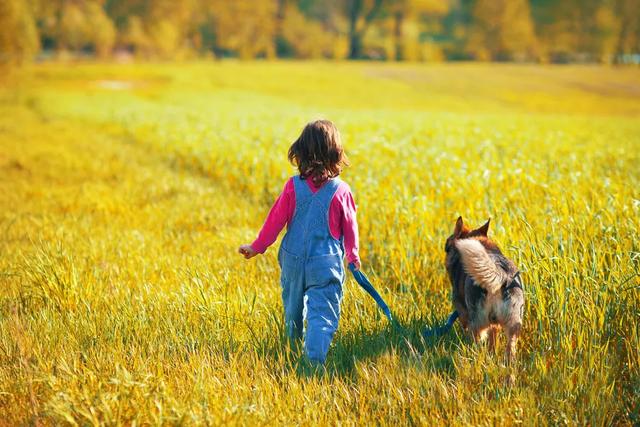 最坑孩子的教育问题，这四大谎言九成父母却都信了-兜得慧