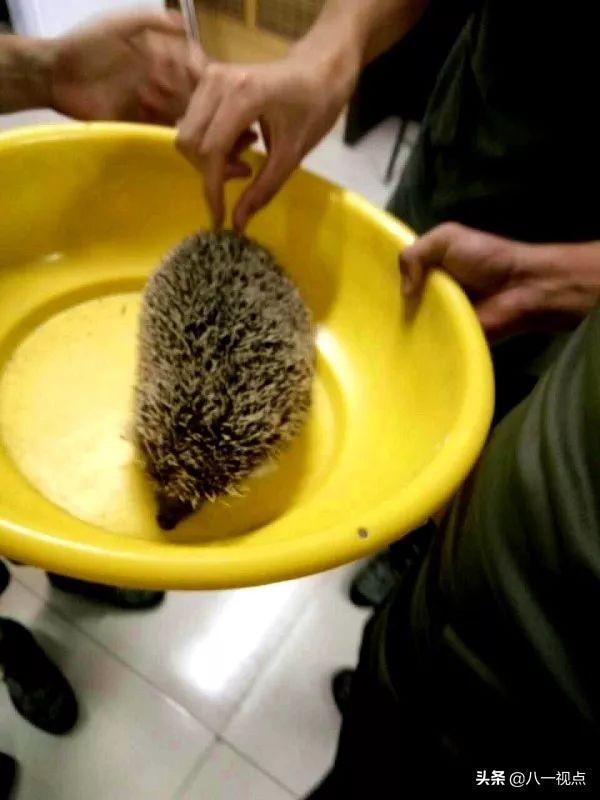 当过兵的，谁还没用过黄脸盆