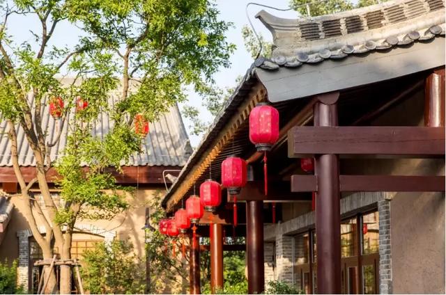 边建设，边运营，这个田园综合体，没开园就接待了120W人