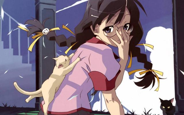 日本票選敗犬人氣前十的角色，敗犬們也來比一比人氣值