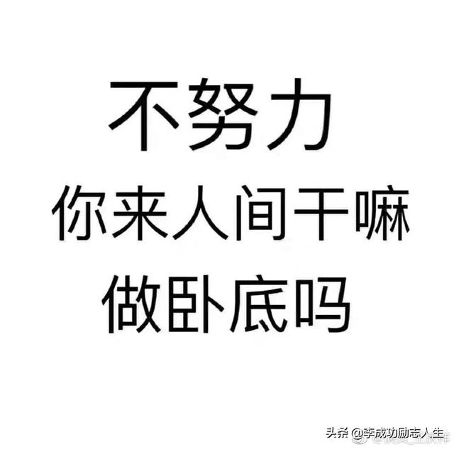 关于坚持励志的长句子 努力奋斗的名言短句 次西吧