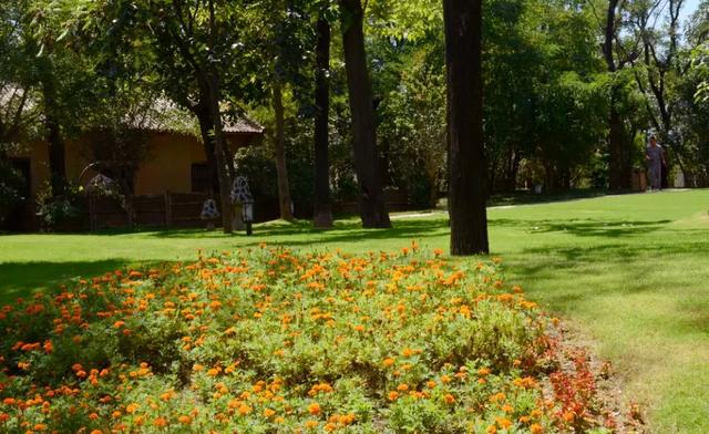 边建设，边运营，这个田园综合体，没开园就接待了120W人