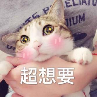 特别想买医药主题基金，应该怎么投？