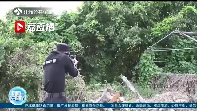 公牛突然发疯狂躁伤人 砰！民警持枪当场击毙疯牛