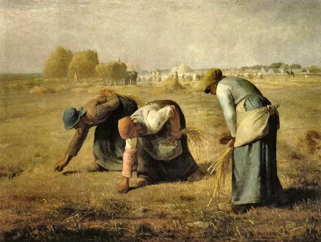 农夫,百姓,农民,农场主,承包主,牧场主,畜牧者3.villagern.