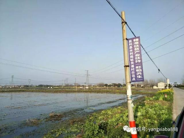 养虾姑海水盐度温度是多少 院勾问答 养虾姑海水盐度温度是多少 院勾问答
