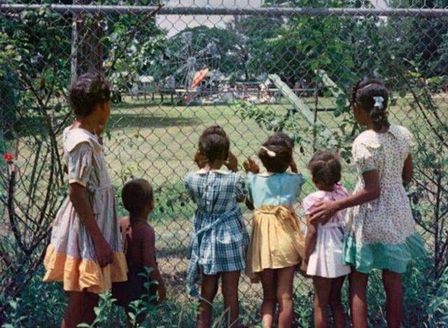 为何黑人生育率世界第一呢？