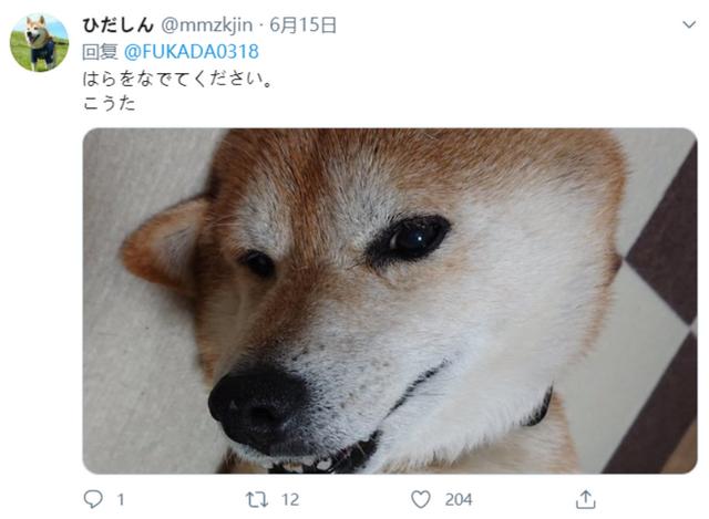日本成人片女优翻车现场：说好一起搞事，怎么做起了数学题？