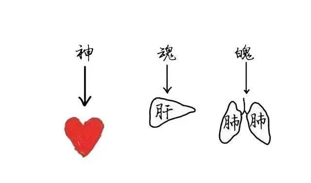 魂不附体是什么意思(魂不附体是什么生肖)