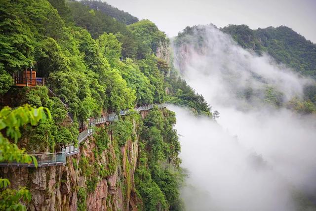 宁波避暑攻略，这个网红景区私藏了25℃的艳阳天，还能看高山云海