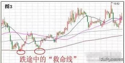 社保基金收益或创新纪录！二季度追买大消费+医药股，谁会涨成下一只“千元茅台股”（附名单一览）