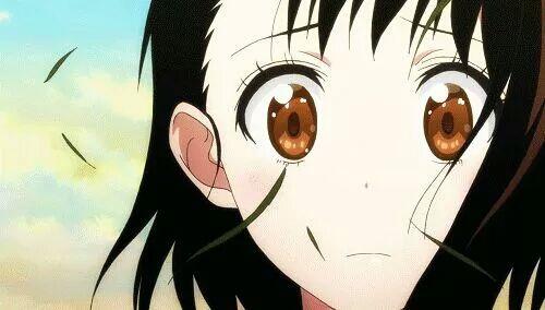 日本票選敗犬人氣前十的角色，敗犬們也來比一比人氣值
