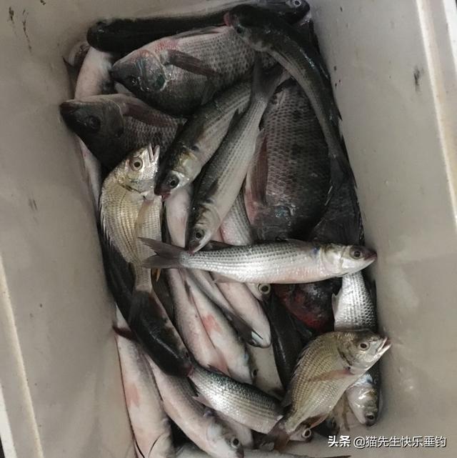 二十八钓还是十九钓哪个硬 爱游钓鱼网