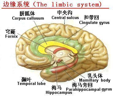 做到这三点，您可以更好地理解孩子