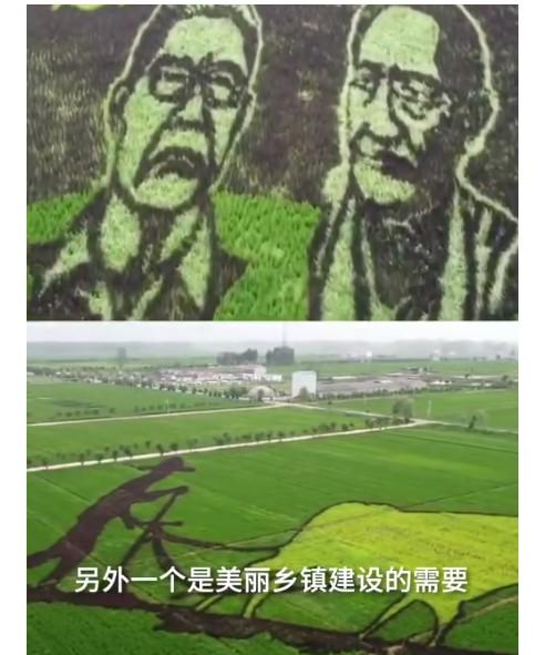 袁隆平|农民种出袁隆平钟南山稻田画 平均每幅画约3000个点用5种颜色的水稻组成