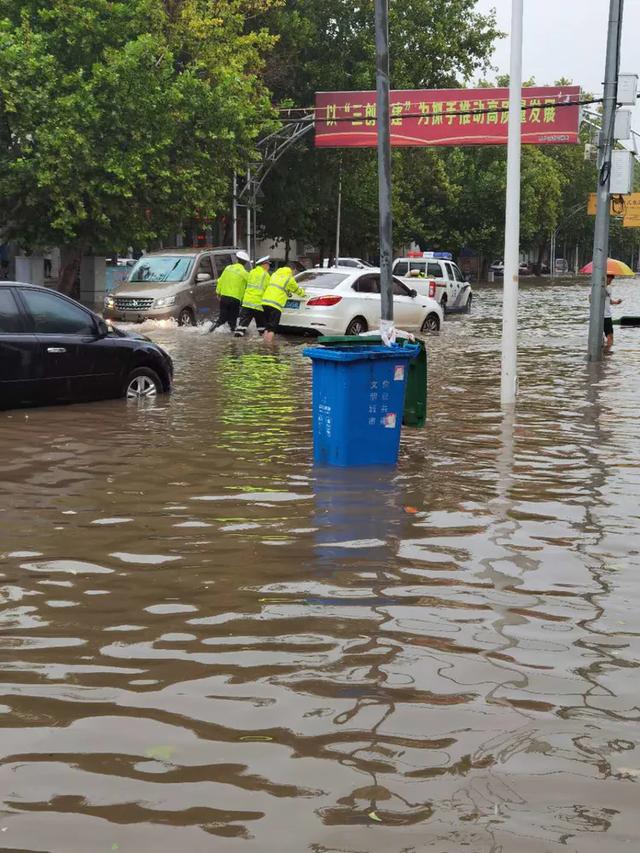 雨天的“航标” 水中的“灯塔”