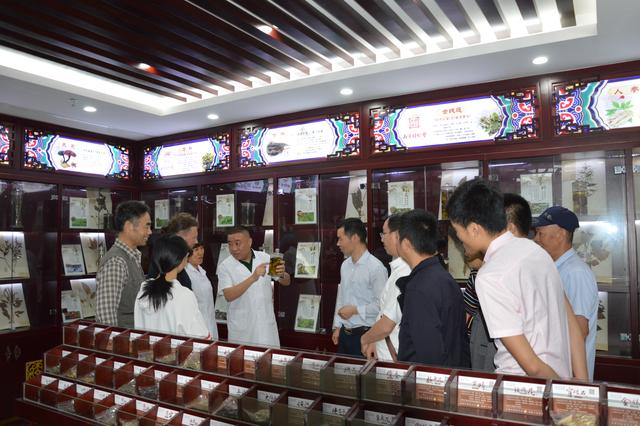 华医馆：传承千年文化，飞入寻常百姓家