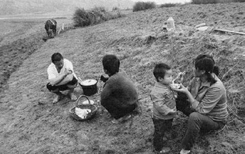 农民发现一堆废木头，文物贩子用100元收走，1