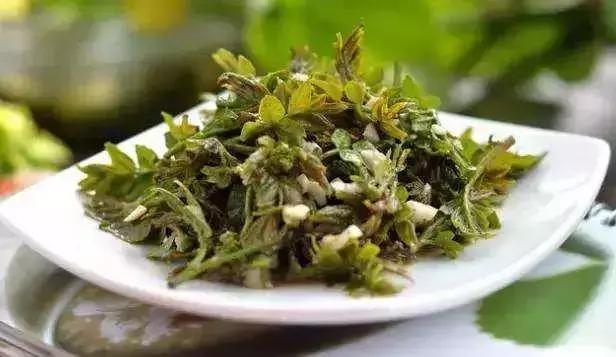 這種野草是“養(yǎng)肝第一藥”！每年吃一點，活到80歲不患肝病