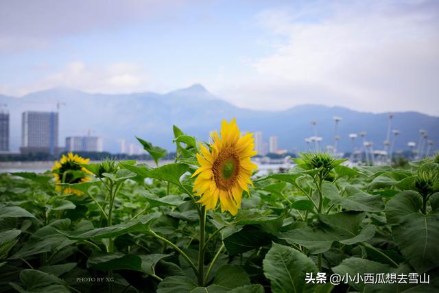 福州又一个摄影、散步好去处，一年四季都可赏