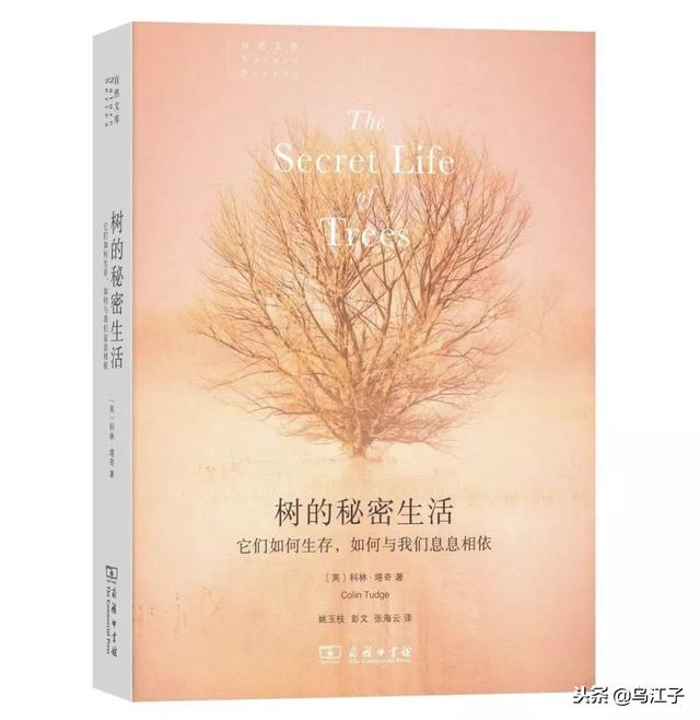 名社好书丨商务印书馆十五种好书推荐
