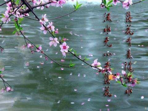 落花有意流水无情什么意思落花有意流水无情全诗