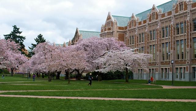 所有在华盛顿的大学有哪些？