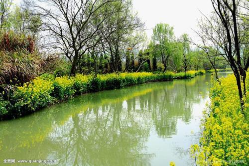 杭州西溪湿地有什么好玩的?11月中旬是旺季吗