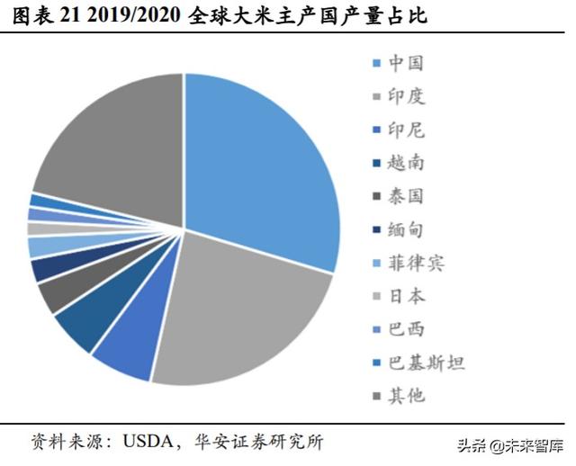 播種面積佔全球約 90%,產量約佔全球的 91%, 其中我國水稻產量位居