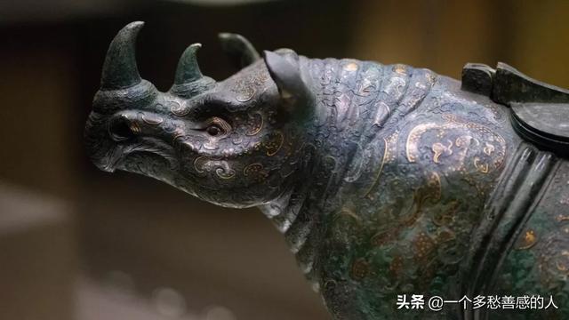中国犀牛消亡史：5000年来，我们都灭绝了什么？