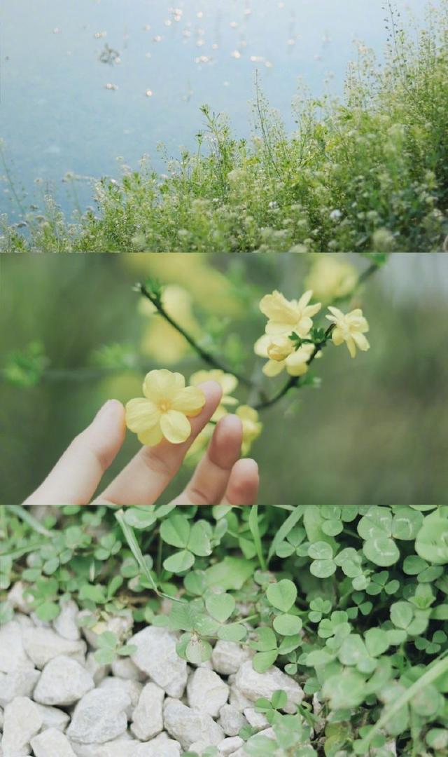 《离婚，甭想了》：温柔贤惠的妻子，论演技不输作为影帝的老公