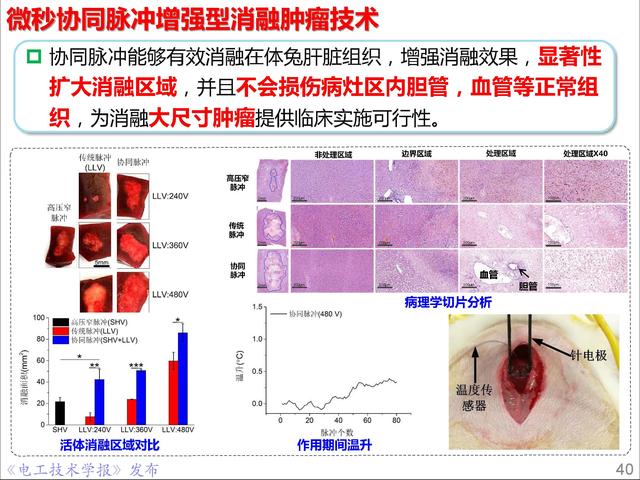 前沿技术报告｜重庆大学姚陈果教授：高压超短脉冲技术及应用