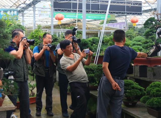 天下摄影家齐聚沭阳国际花木城