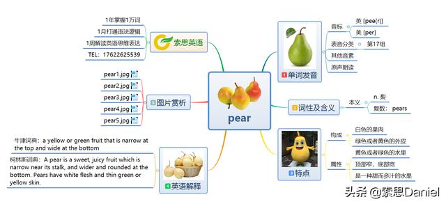 梨用英文怎么说 梨英语读音在线发音 好唯一