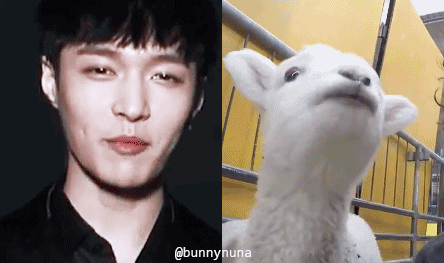 在线自夸？学员撞脸导师霸占热搜，他们竟这么