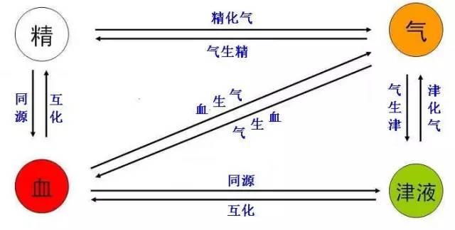 中医基础理论（精华版）