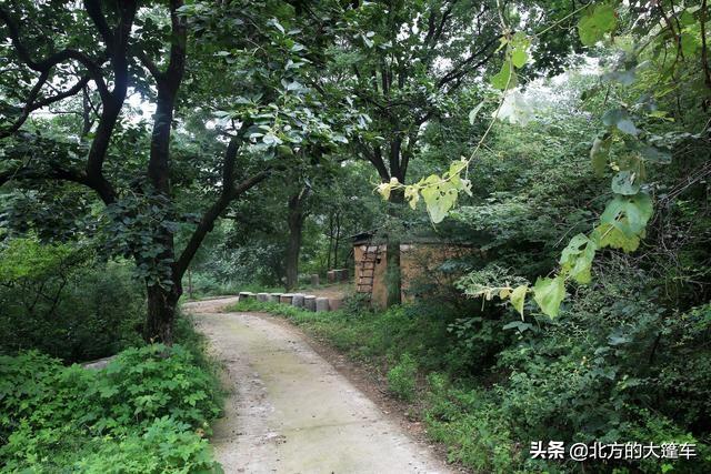 喝酒吃鸡为自己压压惊！走南闯北的老张竟然在石佛堂山顶迷路了